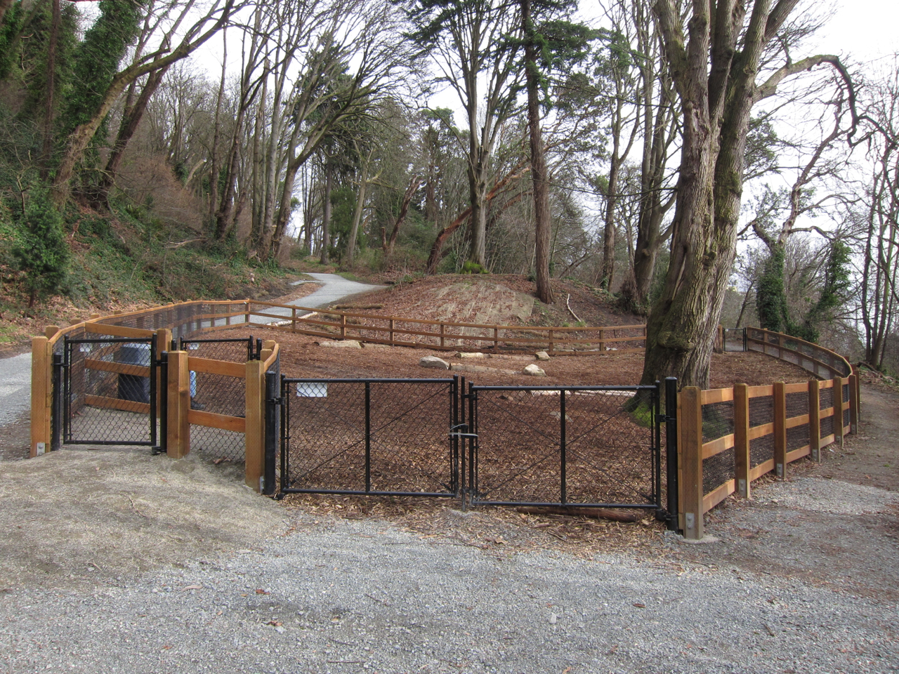 Off Leash Dog Parks in Seattle Listings and Pictures PNWLiving