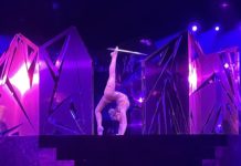 A Night at the Circus: Be a VIP at Cirque du Soleil Alegria